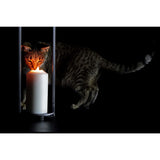 Wrought Iron Wall Sconce - Noor